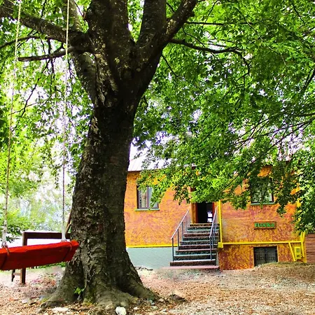 Hostel Flocka Razëm